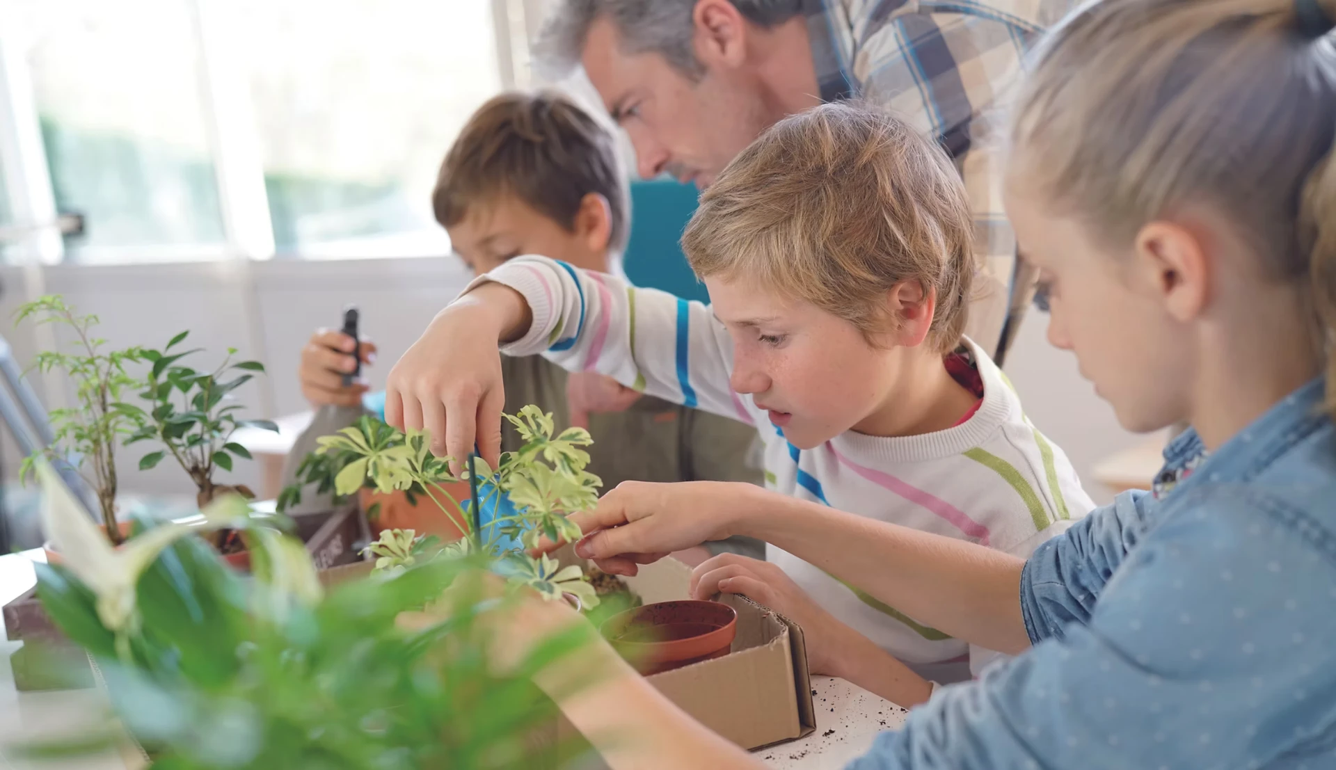 Kinder topfen gemeinsam mit einem Lehrer Pflanzen um