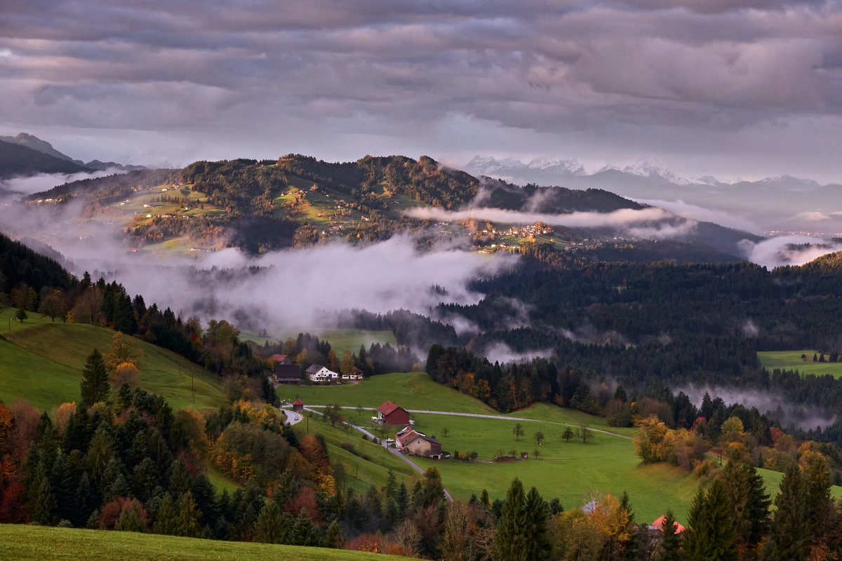 Hügelige Landschaft im Bregenzerwald mit Nebel in den Tälern