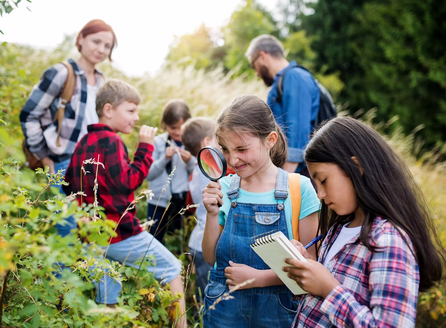 Kinder erforschen die Natur