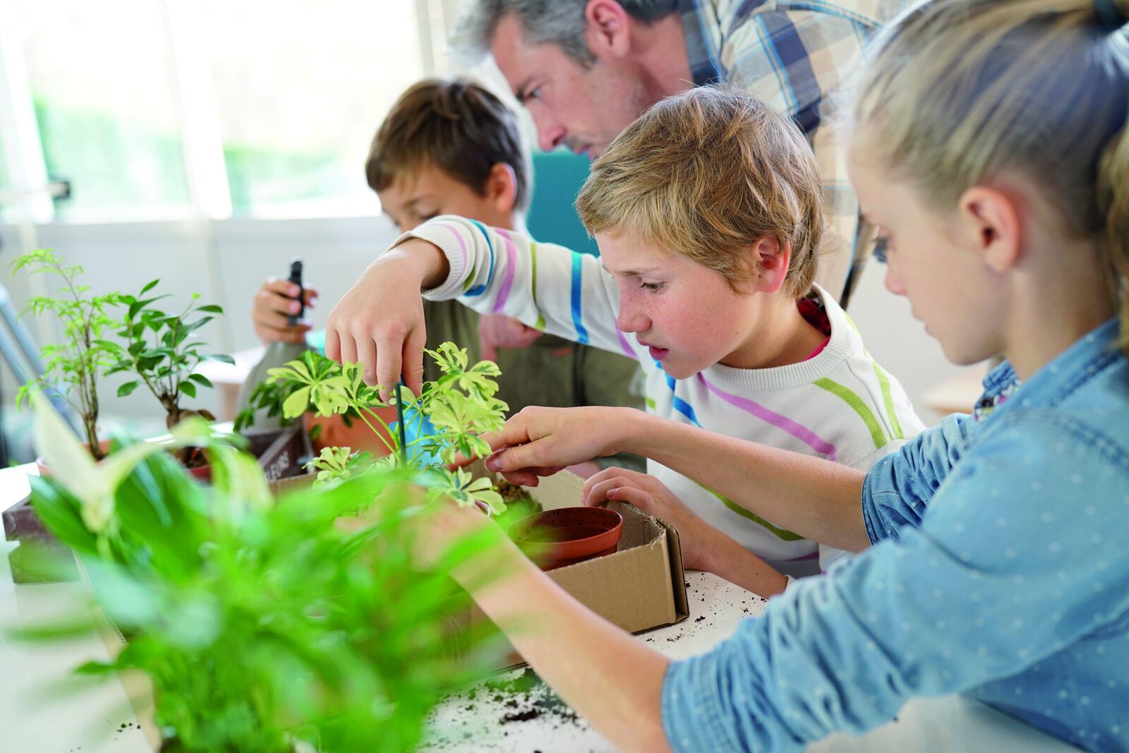 Kinder topfen mit einem Betreuer Kräuter um