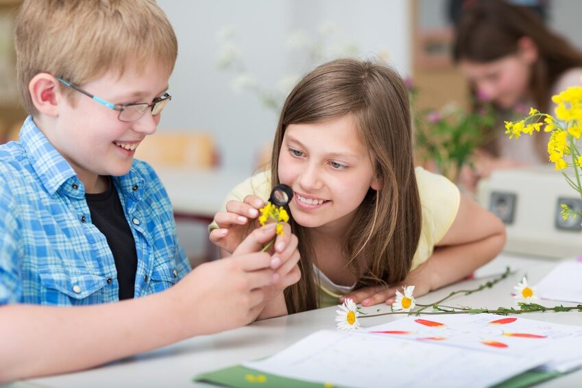 Zwei Kinder untersuchen eine Blüte mit der Lupe